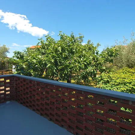 Apartment Ivan 1694 Porec